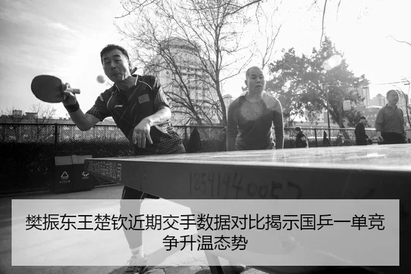 樊振东王楚钦近期交手数据对比揭示国乒一单竞争升温态势